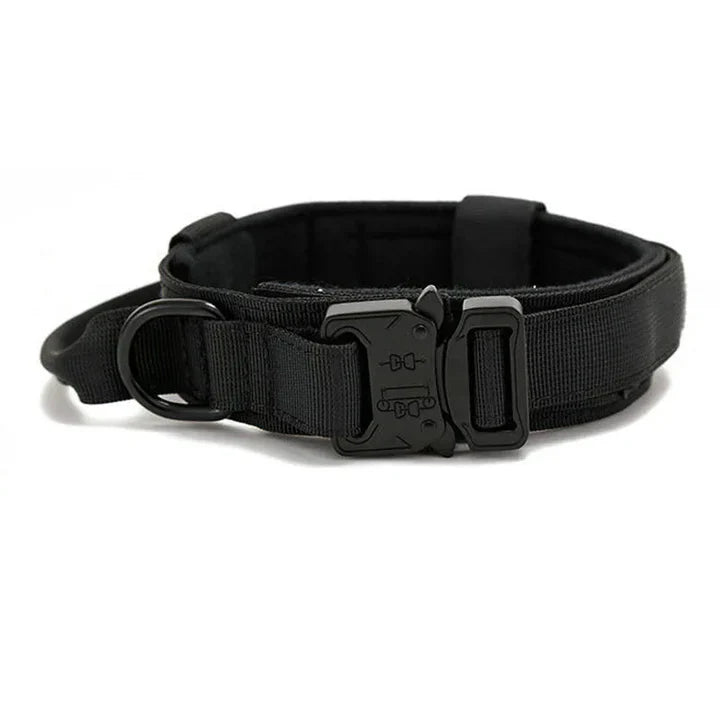 K9Elite reflektierendes Halsband-Set - Hundehalsband und Leine für Training und Sicherheit