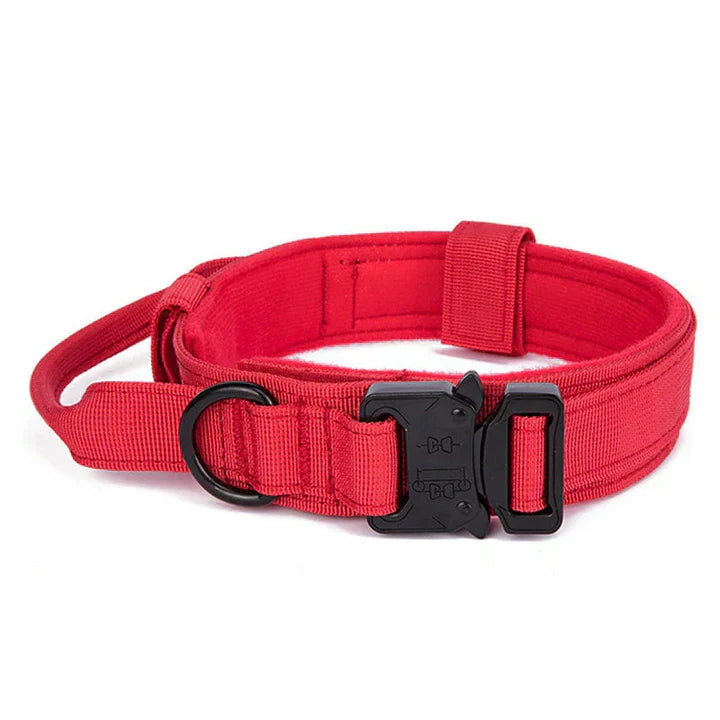 K9Elite reflektierendes Halsband-Set - Hundehalsband und Leine für Training und Sicherheit