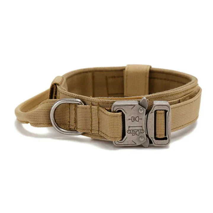 K9Elite reflektierendes Halsband-Set - Hundehalsband und Leine für Training und Sicherheit