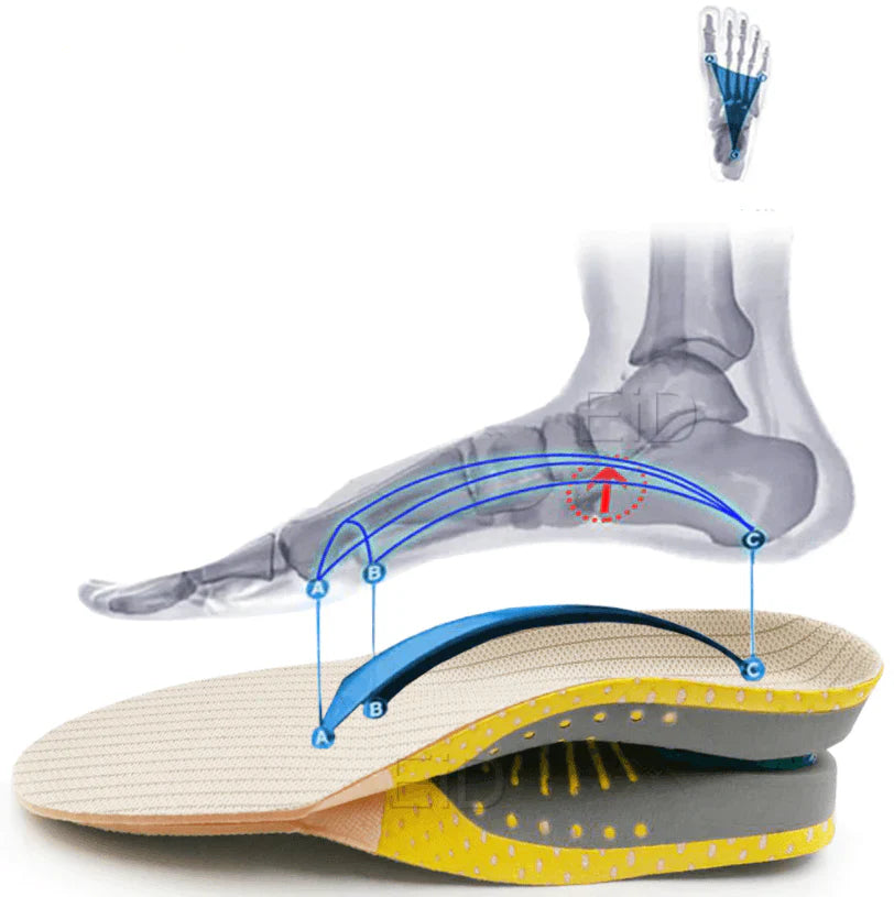 Premium Orthopädische Gel-Einlegesohlen