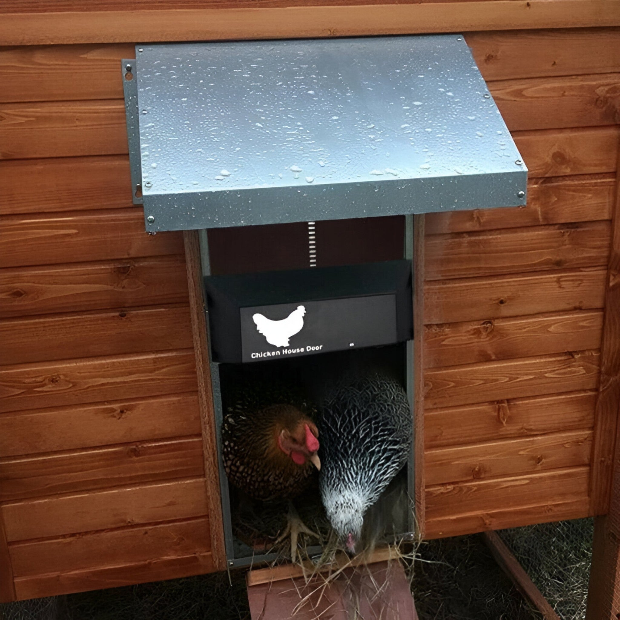 Pluimvee PRO+ | Automatisches Hühnerklappentor