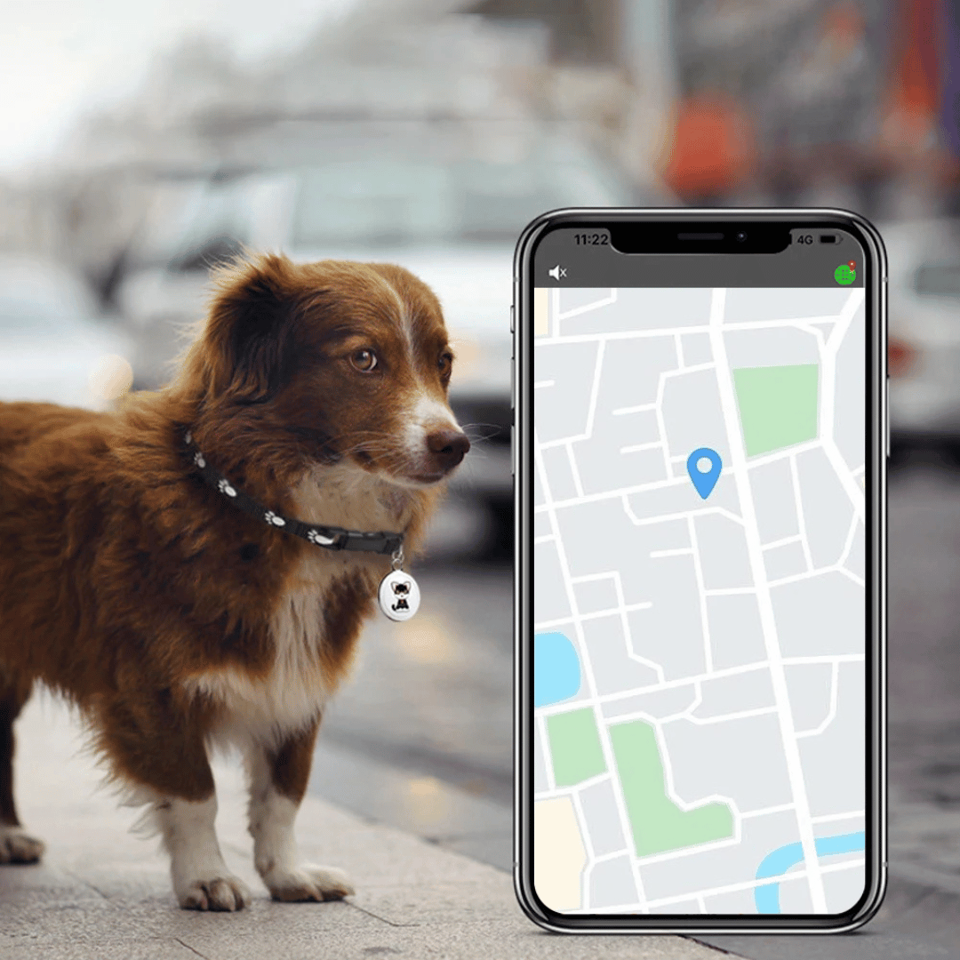 Haustier GPS Tracker - Hunde und Katzen - Android und iOS