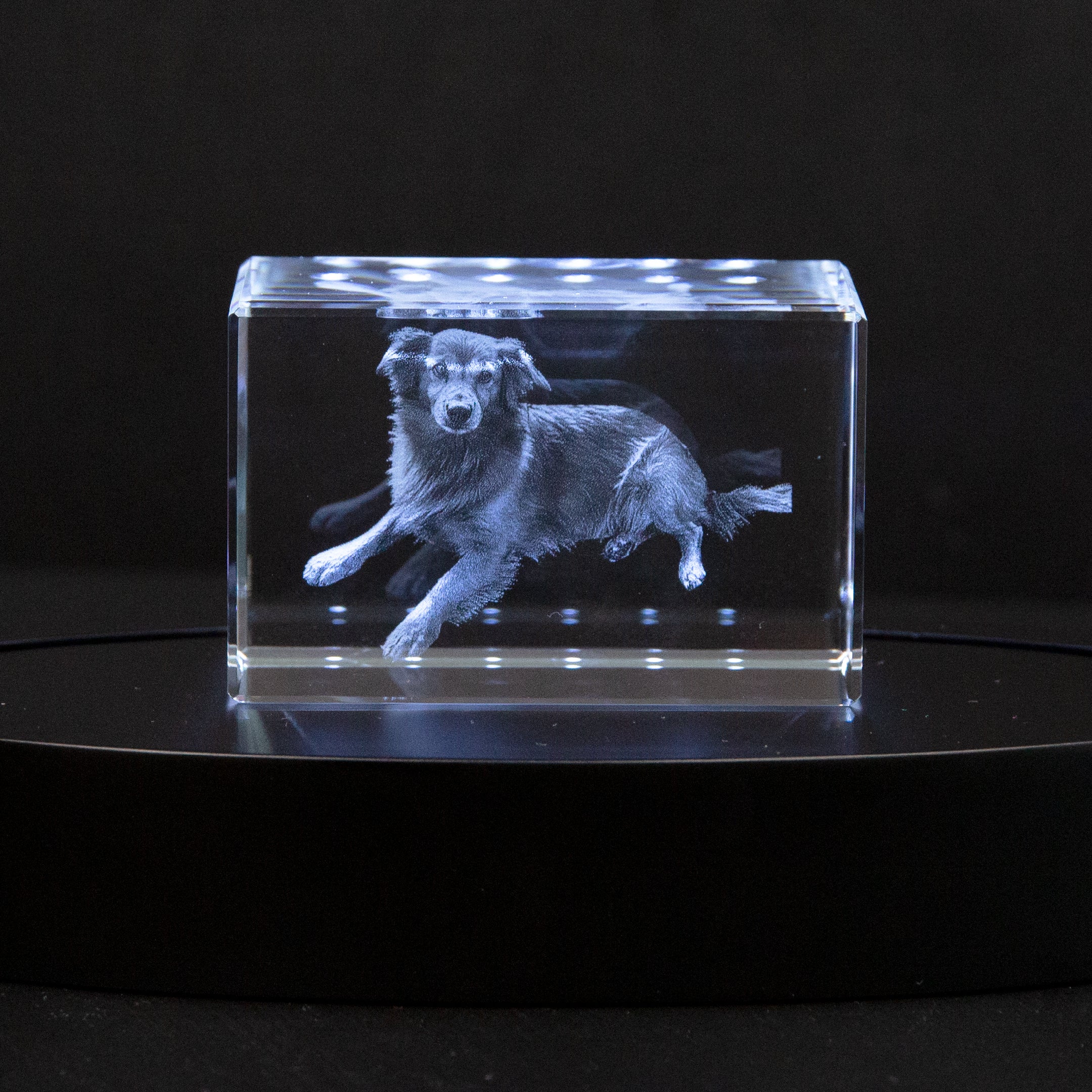 MemoryGlare | Erwecken Sie Ihr Foto zum Leben, indem Sie es in ein wunderschönes Kunstwerk verwandeln