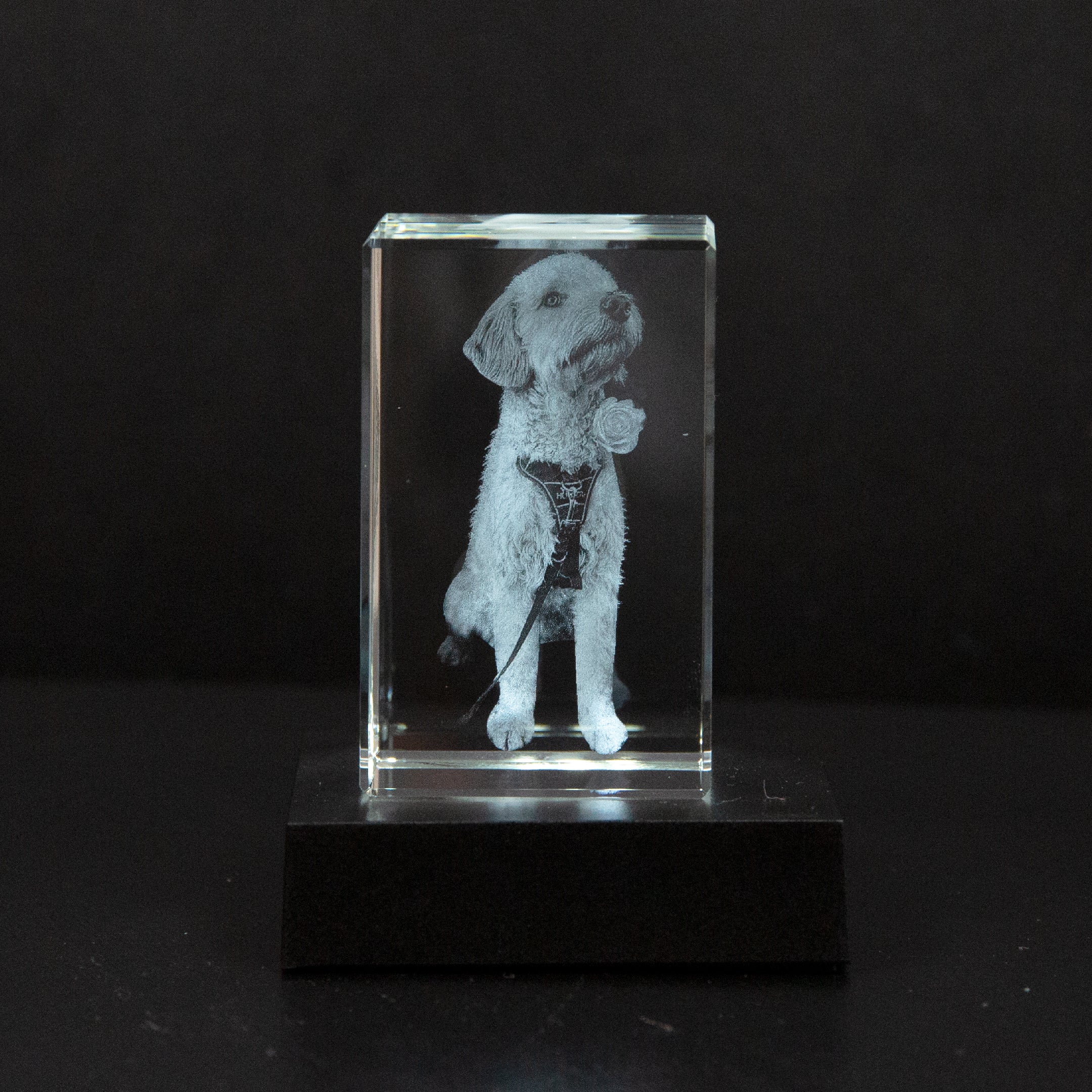 MemoryGlare | Erwecken Sie Ihr Foto zum Leben, indem Sie es in ein wunderschönes Kunstwerk verwandeln